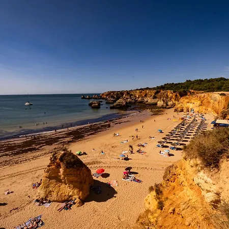 Kings House - Casa Da Arvore