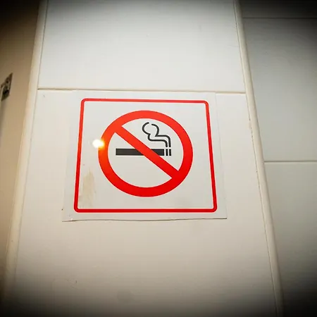 Kings House - Casa Da Arvore Апартаменты