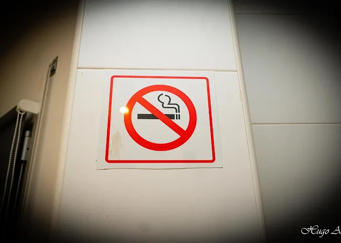 Kings House - Casa Da Arvore Апартаменты