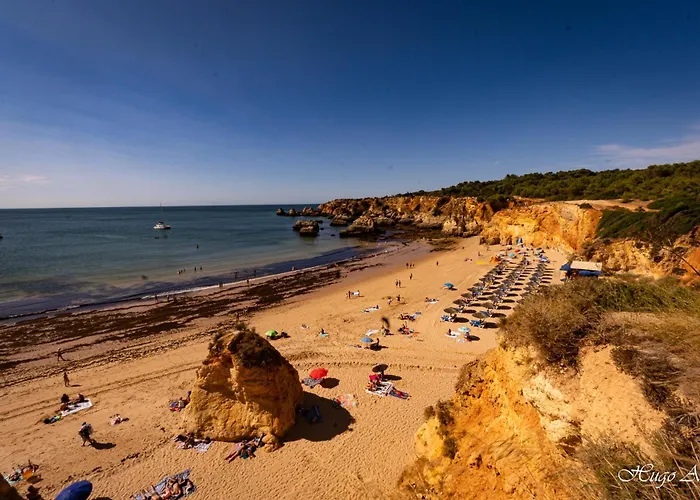 Kings House - Casa Da Arvore